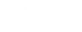 The Last of Us